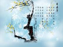 野草与星光：小混混和女学霸的治愈之恋